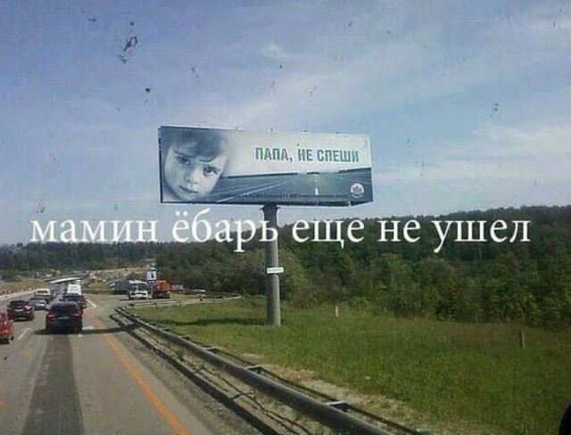 Веселые картинки в пятницу (25.07)