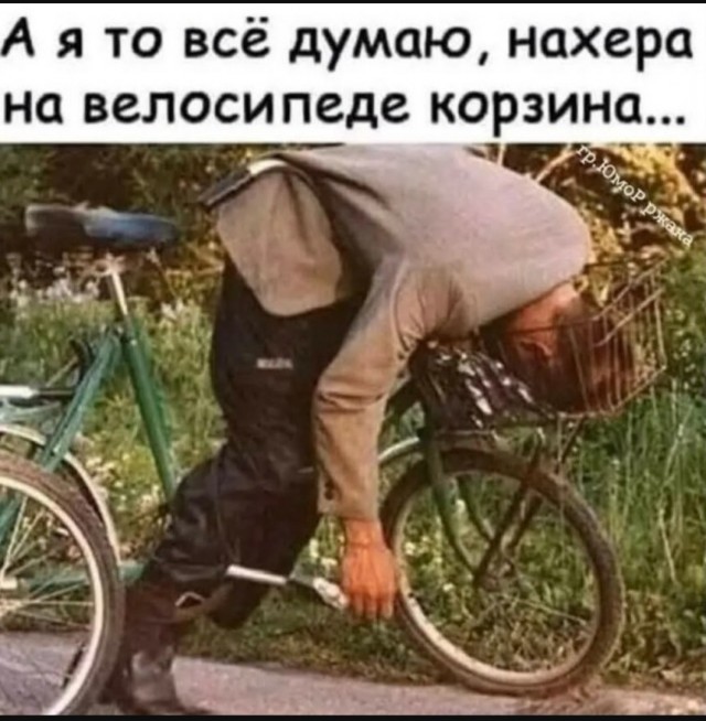Так себе картинки 10.08.25
