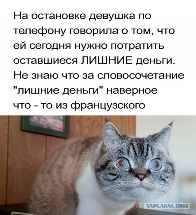 Веселые картинки в пятницу (15.08)