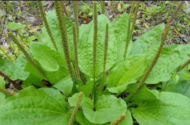 Болеют все!