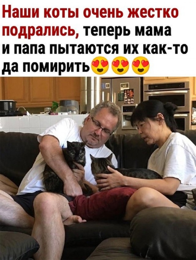 Так себе картинки 26.02.26