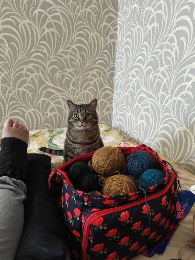 Как коты влияют на людей