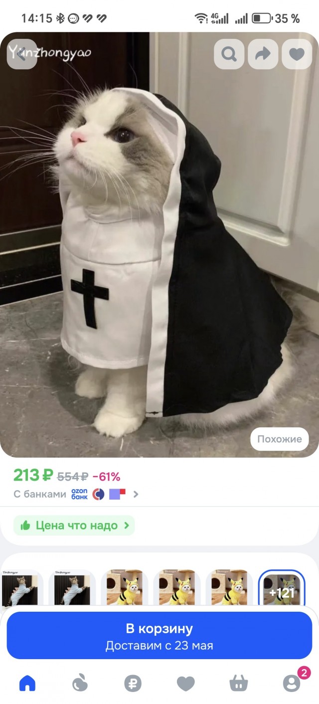 Его котейшейство
