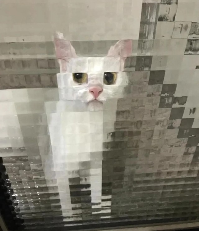 Картинке