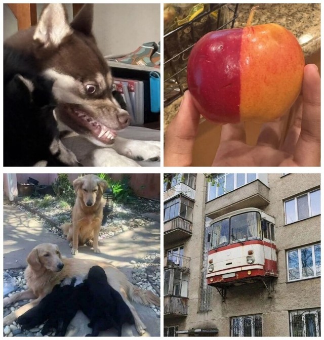 Интересные пятничные фотографии со всего мира