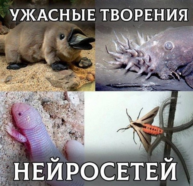 Картинки для деградации 285 (разной степени свежести)