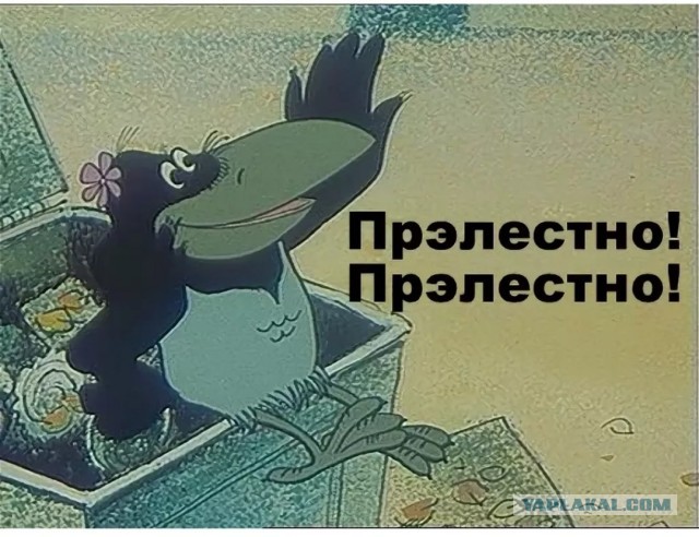 В Марселе протестующий попытался ограбить магазин Lacoste, но стекло тут же его придавило