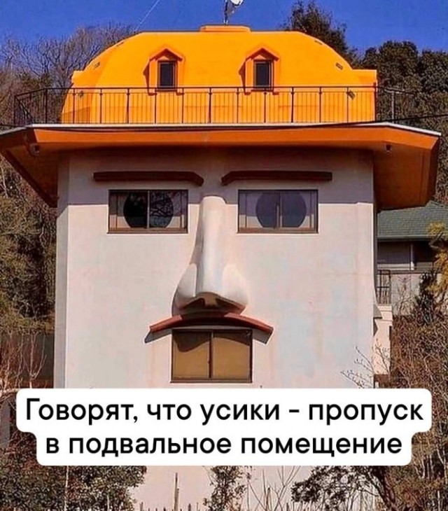 Веселые картинки в понедельник (26.10)