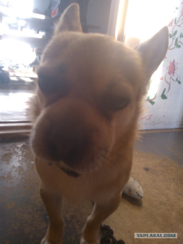 Я не знаю как это озаглавить. Часть 2.