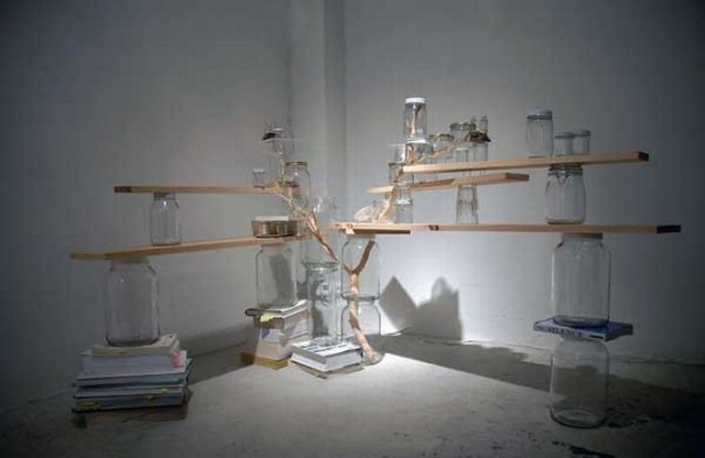 Урбанистическая консервация (8 фото)