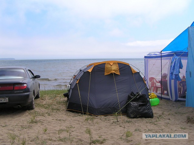 Природа Приморского края