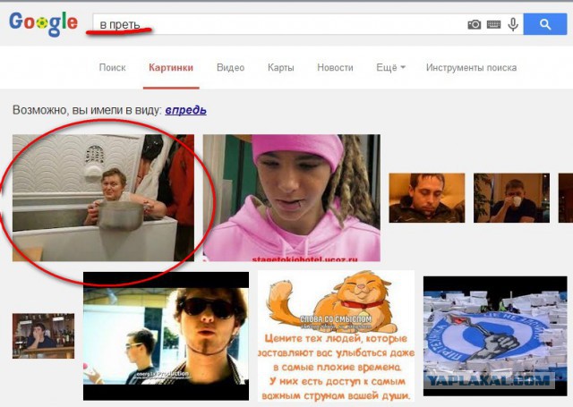 Стрижка только началась