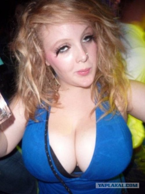 Выходные закончились, лук остался