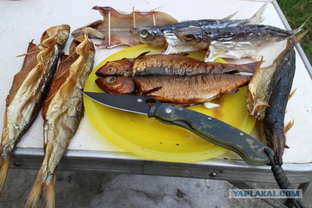 Москва - Владивосток. На чоппере в одиночку 2014.