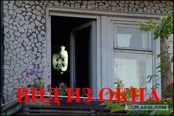 Вид из окна