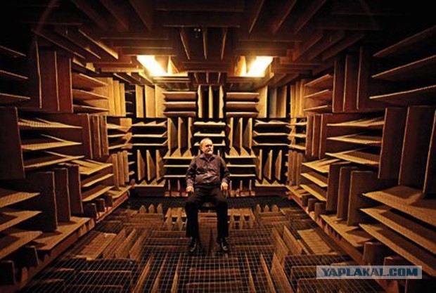 Самое тихое место в мире