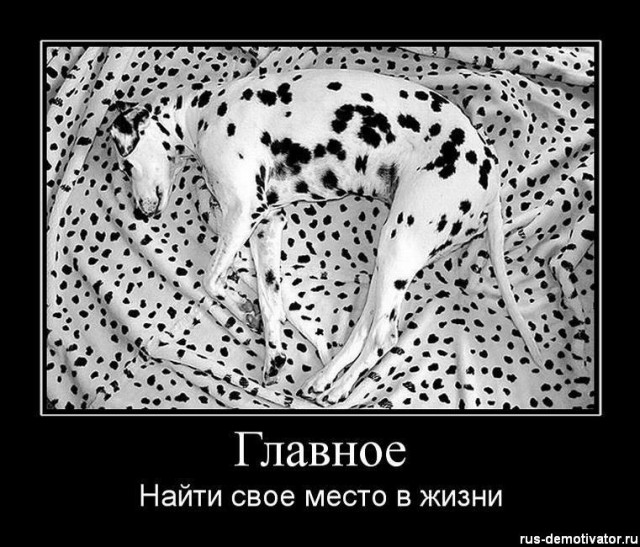 Вы хотите "демов"? часть 2-я