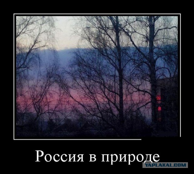Подборка демотиваторов