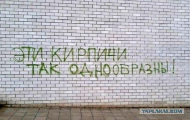Когда и стены учат Дзену