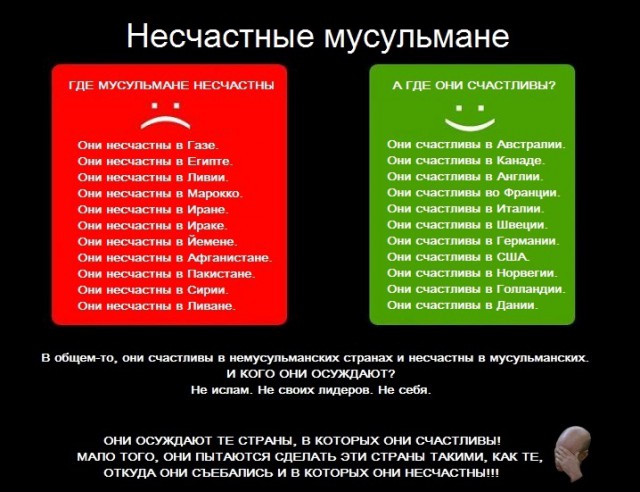 Свиные фрикадельки стали оружием против мигрантов: мусульмане готовы протестовать