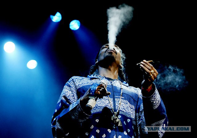 "Что Вы наделали  ? "