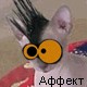 КПМ-ИНФОРМ: ВИРУС