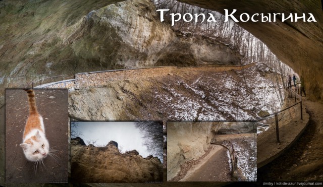 Косыгинская тропа - тайное место и редкое фото
