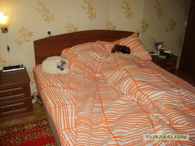 Короткие жуткие истории