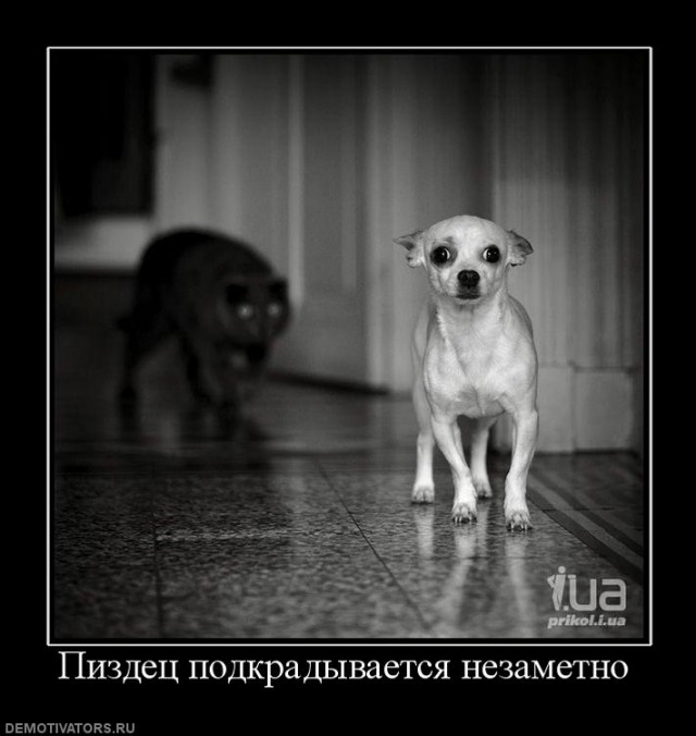 Демотиваторов немножко.