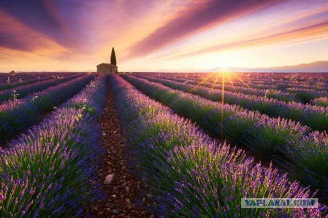 Интересные и веселые картинки