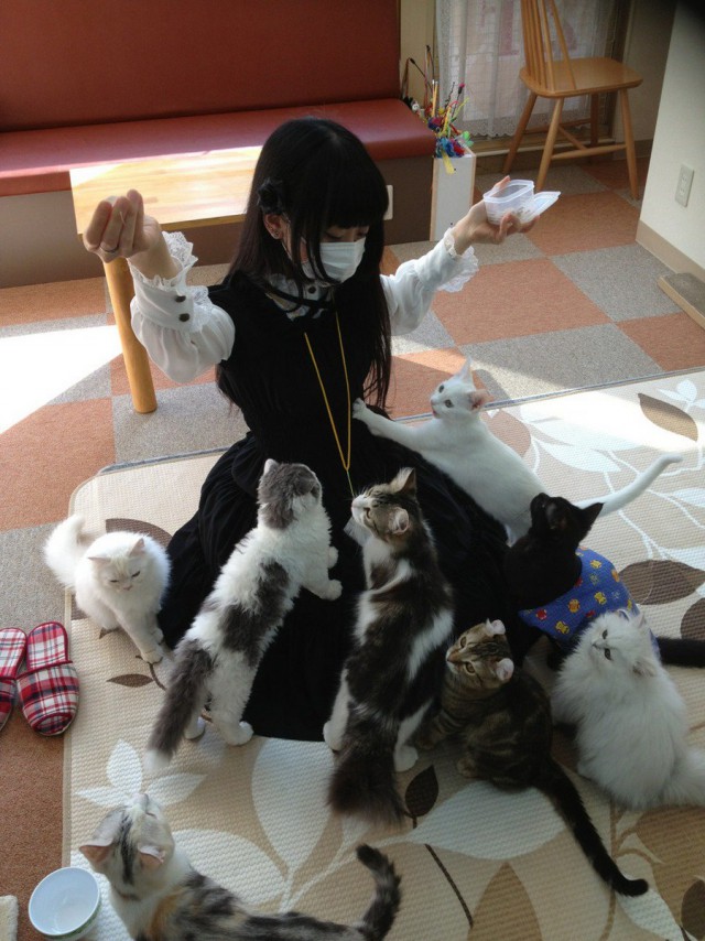 Подборка интересных и веселых фото