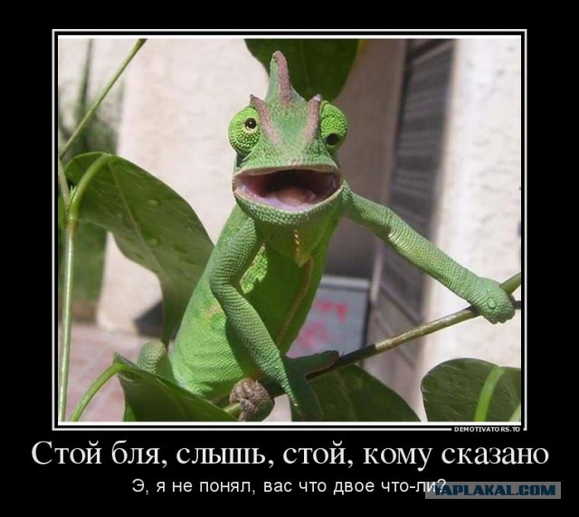 Гостеприимный Нижний Новгород