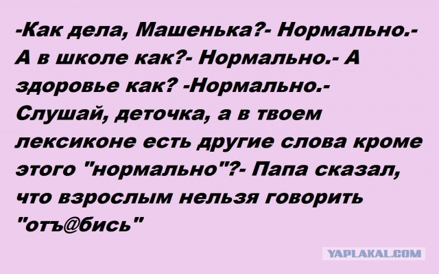 Картинки и приколы из сети, для поднятия настроения=)
