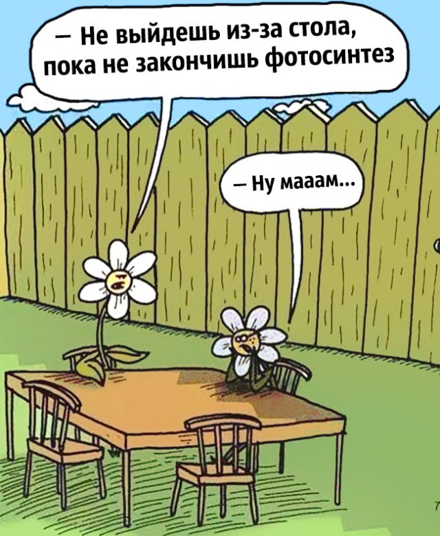 Юмор от физиков. 67 картинок