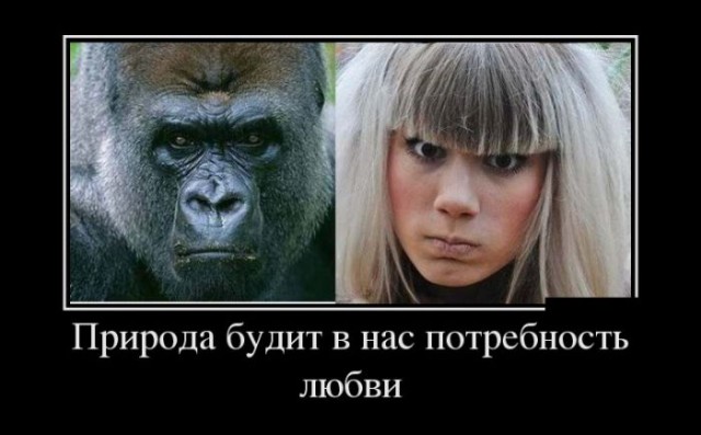 Картинки в черных рамках с подписями