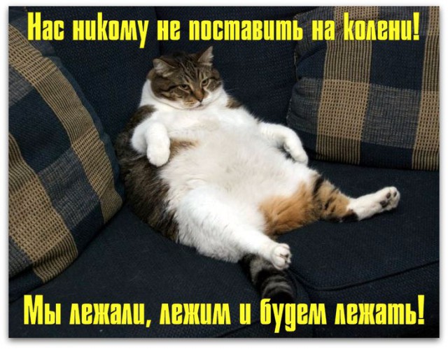 Добавим на ЯП чернухи? - Однако, здравствуйте