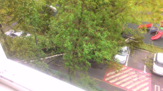 В Москве ураган!