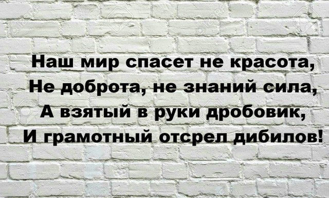 В Думе предложили пожизненно лишать права на оружие за его ношение в нетрезвом виде