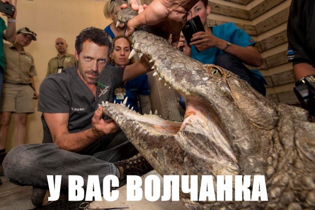 Немного деграданса - 8