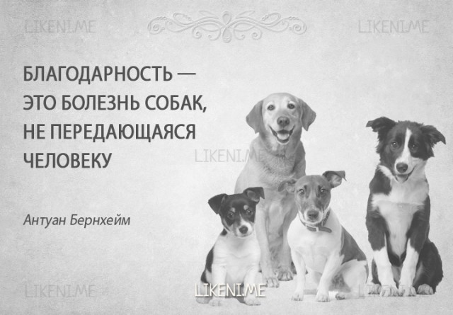 Пёс