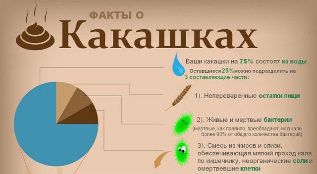 Правдивые факты в которые сложно поверить