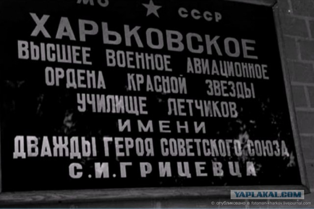 Меня учили убивать..