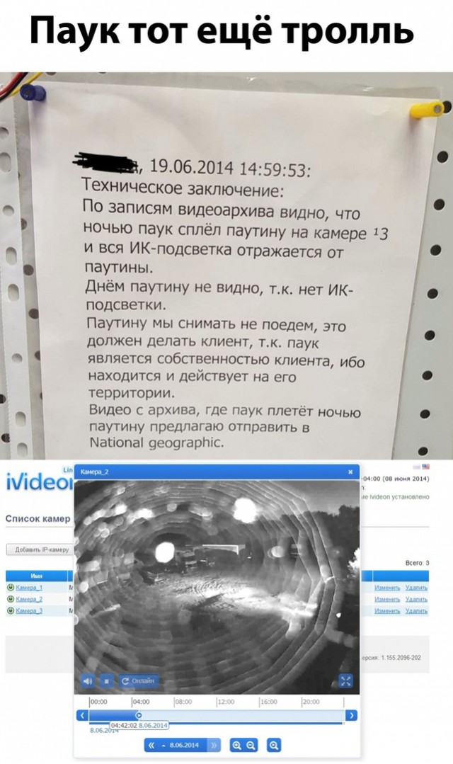 Прикольные комментарии и высказывания из Сети