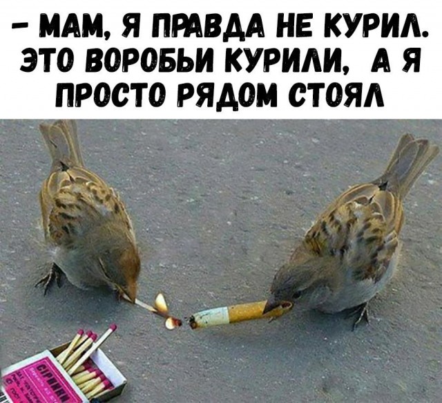 Не очень адекватный юмор