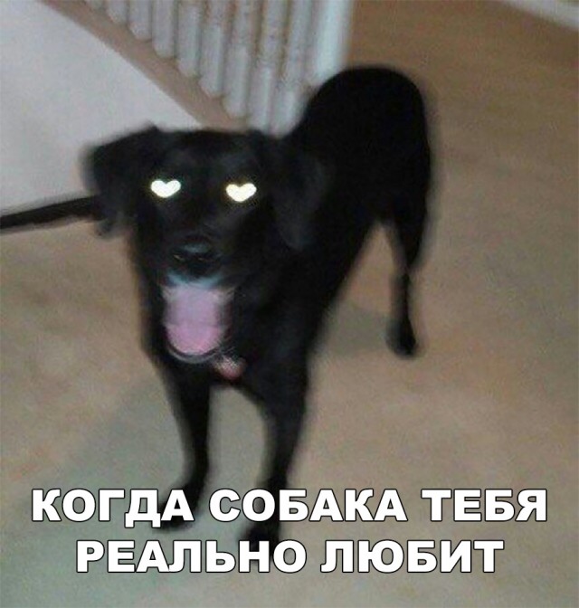Прикольные картинки абавсём