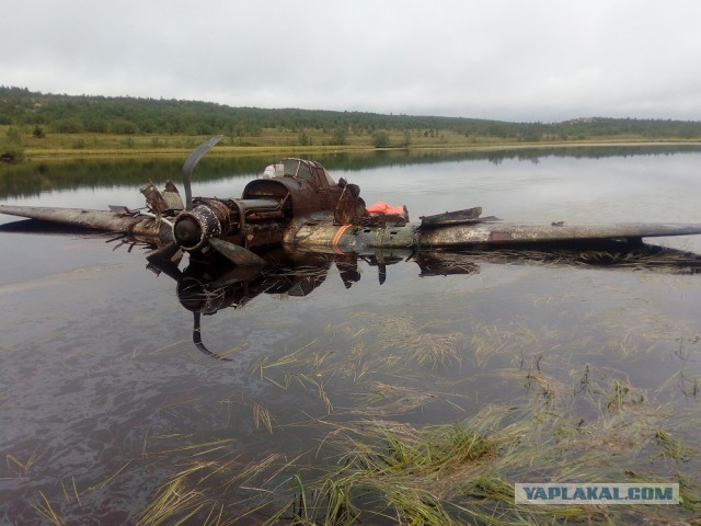 Нашли ещё один сбитый Ил-2