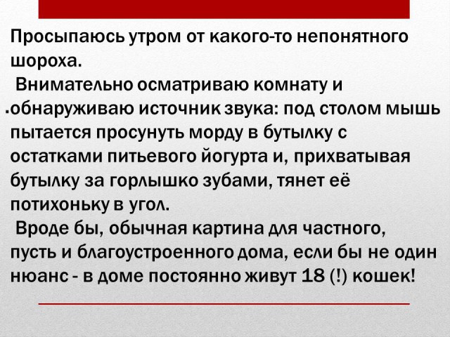 Немного картинок на вечер