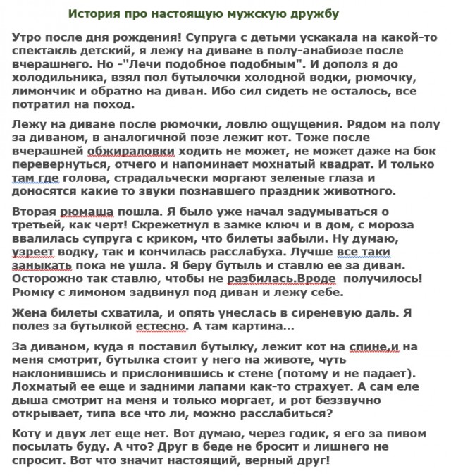 Анекдоты, соц-сети, истории и картинки с надписями