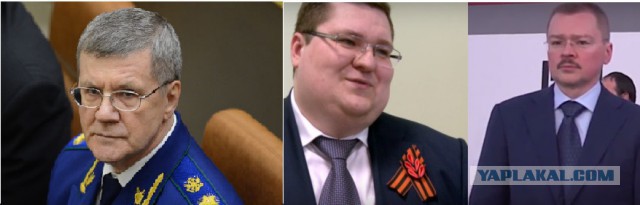Чайка хотела поесть гусенка, но поплатилась жизнью
