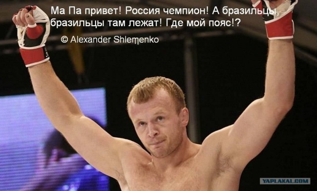 БОКС/MMA....